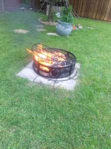 IMG_1181[1].jpg